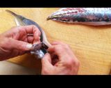 鯵のさばき方〜刺身編〜作り方15写真