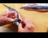 鯵のさばき方〜刺身編〜作り方15写真