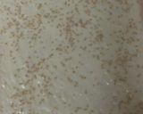簡単海苔チーズツナマヨトースト作り方3写真