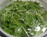 簡単シンプルに☆水菜としらすのサラダ作り方1写真