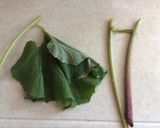 保存できます⭐︎家のふき煮作り方1写真