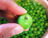 カリカリ♪小梅のシソ漬け作り方2写真