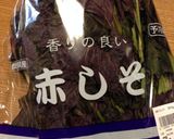 カリカリ♪小梅のシソ漬け作り方4写真