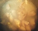 簡単おかず・おつまみ❁鶏レバーの照り煮❁作り方2写真