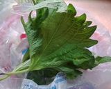 しその保存☆作り方6写真