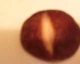 椎茸と筍のおこわ作り方1写真