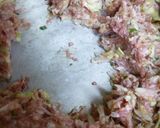 もやし入り・焼き餃子作り方6写真