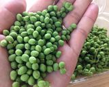 山椒の実とこんにゃくの佃煮作り方1写真