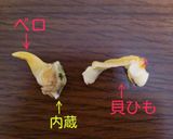 潮干狩り！シオフキ貝の砂出し作り方9写真