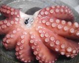 たこのディルソースあえ作り方4写真