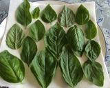 ドライバジル作り方1写真