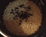 発酵玄米•寝かせ玄米•酵素玄米作り方11写真