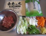 節約春巻き作り方2写真