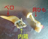 潮干狩り!バカ貝の砂出し作り方6写真