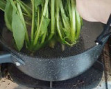 ほうれん草の胡麻和えおひたし作り方3写真