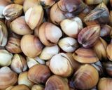 潮干狩り!バカ貝の砂出し作り方13写真