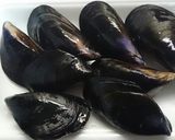 ムール貝のワイン蒸し作り方2写真