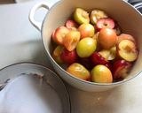 Plum Juice（プラムジュース）作り方1写真