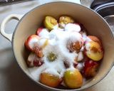 Plum Juice（プラムジュース）作り方2写真