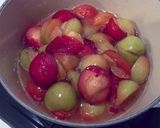 Plum Juice（プラムジュース）作り方3写真