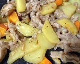 美味しい!豚肉の塩にんにく炒め作り方4写真