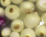 たまねぎの丸ごとほろほろスープ作り方1写真