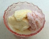 材料３つで手作りバニラアイス作り方4写真