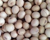 豆から作る きな粉作り方1写真