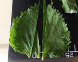 アブラカレイ✿梅&大葉巻天ぷら作り方1写真
