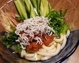 夏バテ防止！冷やし梅しらすうどん＾＾b作り方4写真