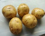 美味しい☆ぷりぷり海老とジャガ芋コロッケ作り方1写真