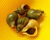 青つぶ 味付作り方1写真