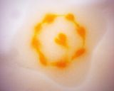 5.6ヶ月離乳食、人参とろとろ作り方4写真