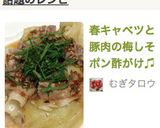 春キャベツと豚肉の梅しそポン酢がけ♫作り方8写真