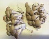 便利♡きのこの保存法♡作り方3写真