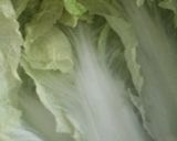 豆腐と鶏ひきでハンバーグとロール白菜作り方7写真