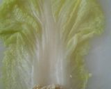 豆腐と鶏ひきでハンバーグとロール白菜作り方8写真