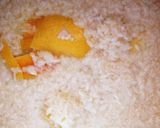 もちもち塩レモン麹 (実験中)作り方6写真