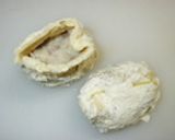 超簡単☆コンコン☆ポテトクリームコロッケ作り方5写真