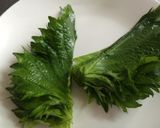 蒸ししゃぶ・さっぱり・簡単・10分料理作り方2写真