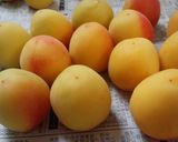 美味！簡単梅ｼﾛｯﾌﾟで梅ｼﾞｭｰｽ！作り方3写真