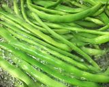 インゲン豆の生春巻き作り方1写真