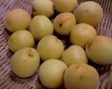 梅干を作ろう作り方3写真
