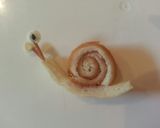 パン耳でカタツムリ♪キャラ弁♪お惣菜パン作り方6写真