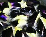 梅醤油麹de茄子の揚げ浸し作り方3写真