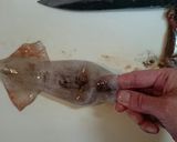 圧力鍋でスルメイカ長芋の煮物☆と裁き方★作り方3写真
