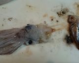 圧力鍋でスルメイカ長芋の煮物☆と裁き方★作り方5写真