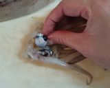 圧力鍋でスルメイカ長芋の煮物☆と裁き方★作り方8写真