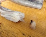 串イカ…(o˘◡˘o)作り方12写真
