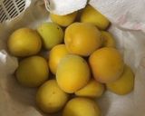 ジップロックで作る瓶干し白梅干し作り方1写真